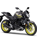 Yamaha MT 25